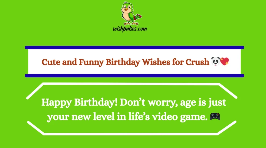 Cute and Funny Birthday Wishes for Crush