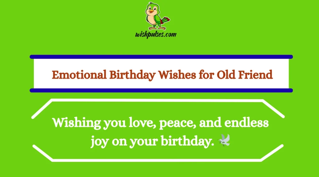 Emotional Birthday Wishes for Old Friend