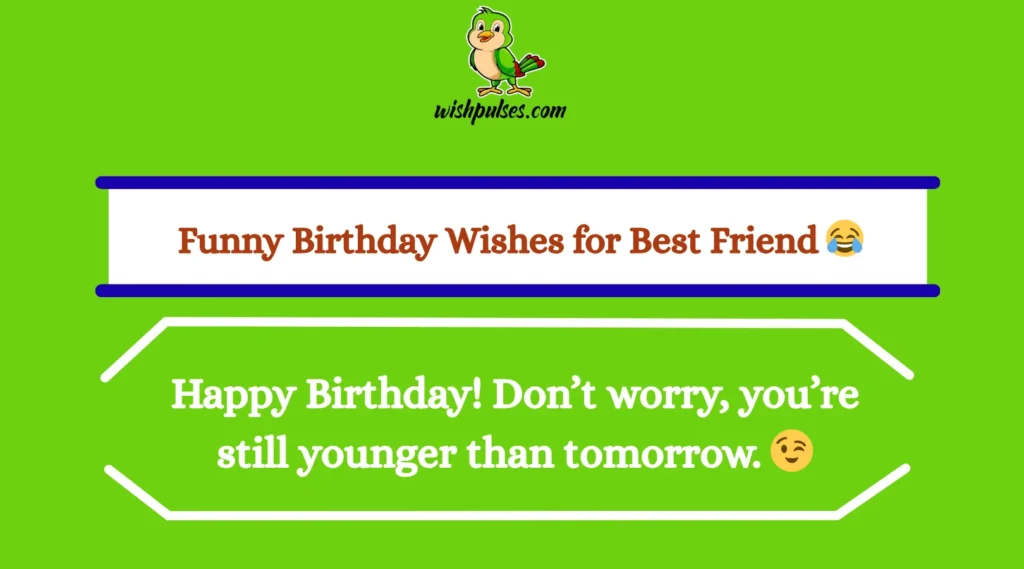 Funny Birthday Wishes for Best Friend 
