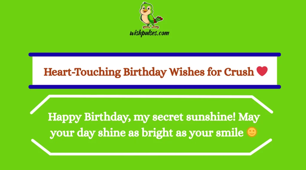 Heart-Touching Birthday Wishes for Crush